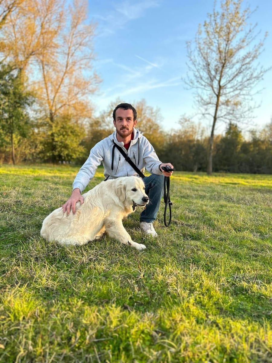 Profil de Rodney